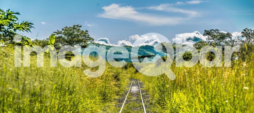 Quanza Norte Train track