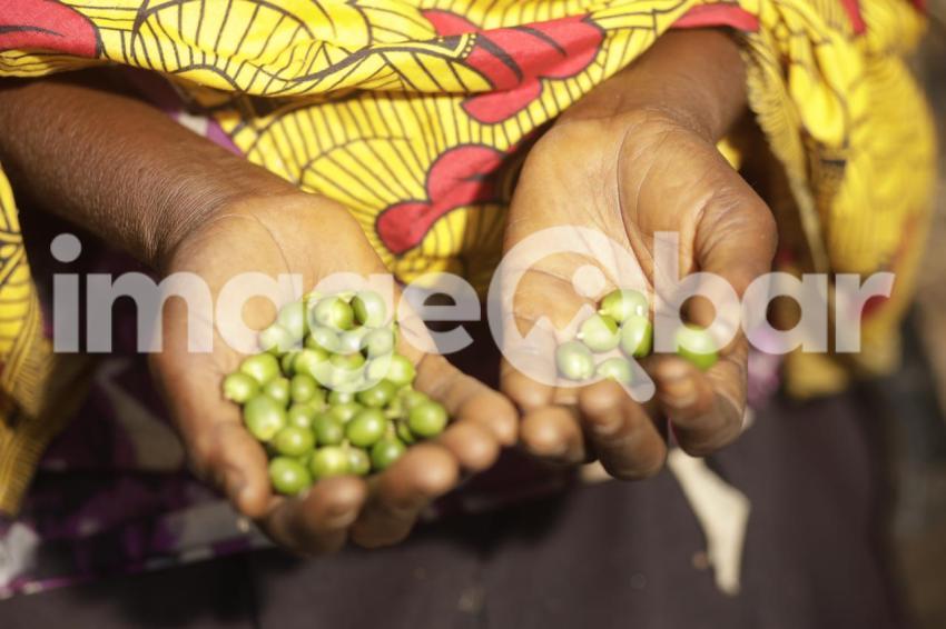Mãos a segurar café