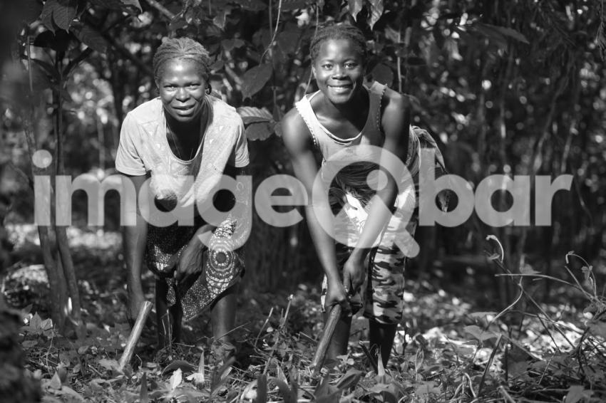 Mulheres Afrodescendentes a trabalhar no campo