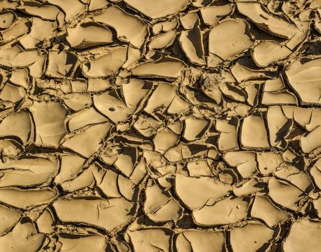 Backgrounds / Textures